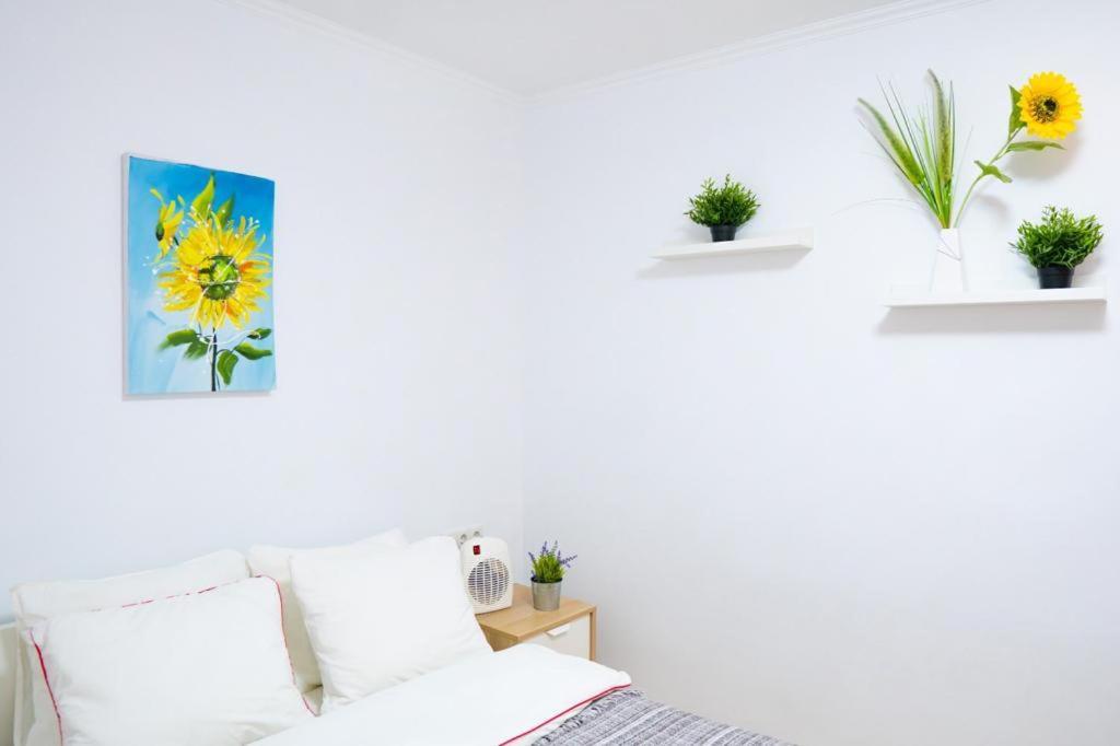 Sollana 18 Apartment บาเลนเซีย ภายนอก รูปภาพ