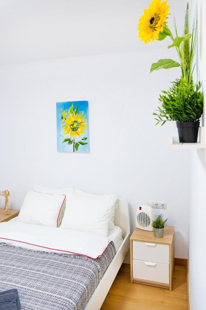 Sollana 18 Apartment บาเลนเซีย ภายนอก รูปภาพ